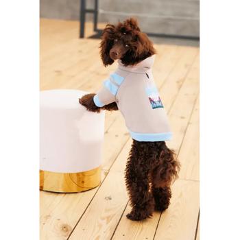 Pet fashion - buy, prices for MasterZoo - photo 4