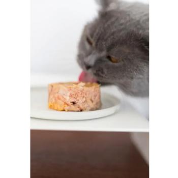 Корм вологий GimCat Shiny Cat з тунцем для котів 70г - купити, ціни на MasterZoo - фото 3