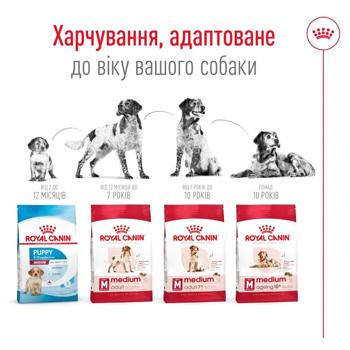 Royal Canin Medium Adult сухий корм для собак 12 кг - домашня птиця - купить, цены на MasterZoo - фото 6