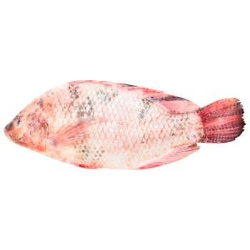 Chilled Whole Red Tilapia - buy, prices for - photo 1