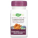 Cordyceps Nature's way 60pcs Usa