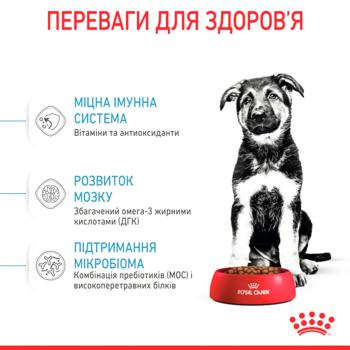 Royal Canin Dry Food with Poultry for Puppies of Large Breeds 15kg - buy, prices for MasterZoo - photo 4