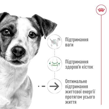 Корм сухий Royal Canin Mini Ageing 12+ для літніх собак 800г - купити, ціни на MasterZoo - фото 3