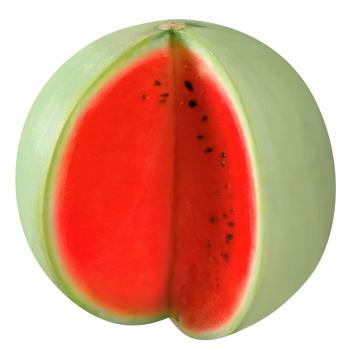 Snizhok Watermelon