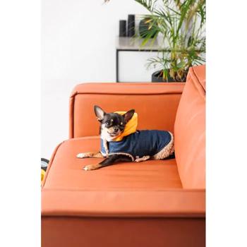 Шлея для собак Pet Fashion Poppy XS-2 - купить, цены на MasterZoo - фото 3