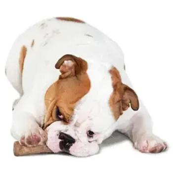 Petstages Dogwood Stick Dog Toy 19.5x3.5x3cm - buy, prices for MasterZoo - photo 3