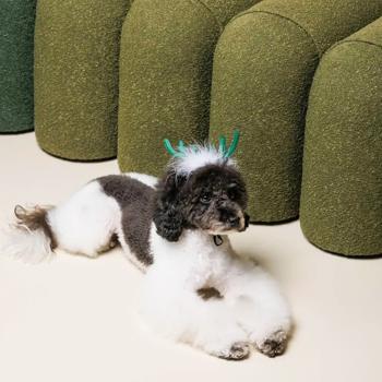 Pet Fashion Deer Horns for Dogs s.M-L - buy, prices for MasterZoo - photo 4