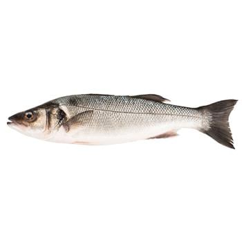 fish seabass european fresh Greece - buy, prices for - photo 1