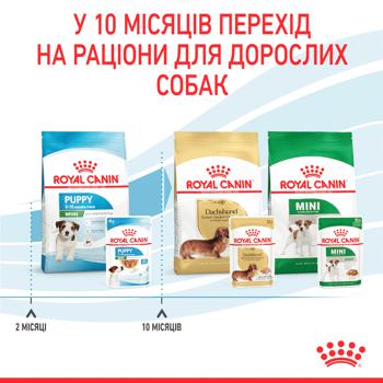 Корм влажный Royal Canin с домашней птицей для щенков малых пород 85г - купить, цены на MasterZoo - фото 6