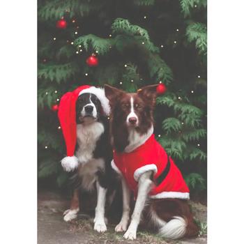 Trixie Santa Christmas Dog Blanket s.M - buy, prices for - photo 4