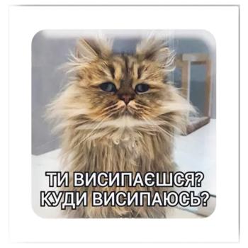 Стикер Tattooshka 3D Сонный кот - купить, цены на MasterZoo - фото 1