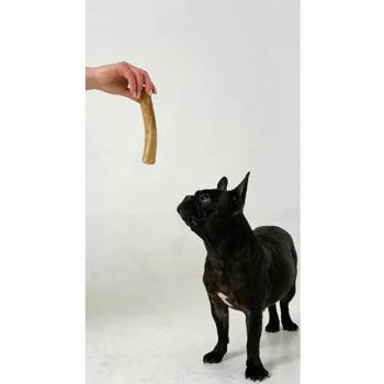 HealthyDoggo Coffee Tree Stick Dog Toy S 14-15cm - buy, prices for - photo 7