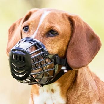 Dog muzzle Trixie №2 black plastic Germany - buy, prices for MasterZoo - photo 3
