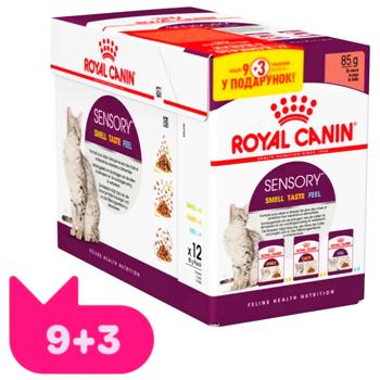 Корм вологий Royal Canin Sensory для вибагливих котів 9+3шт х 85г - купити, ціни на MasterZoo - фото 1
