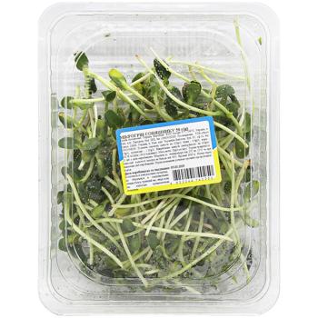 Sunflower Microgreens 50g - buy, prices for Auchan - photo 2