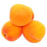 Apricot