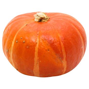 Pumpkin Orange - buy, prices for METRO - photo 1