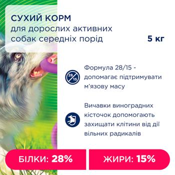 Корм сухий Club 4 Paws Premium з куркою для активних собак середніх порід 5кг - купити, ціни на MasterZoo - фото 3