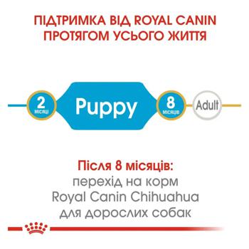 Корм сухой Royal Canin с домашней птицей для щенков породы чихуахуа 1,2кг + 300г - купить, цены на MasterZoo - фото 4