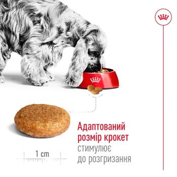 Royal Canin Medium Adult сухий корм для собак 12 кг - домашня птиця - купить, цены на MasterZoo - фото 5