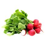 Radishes in Bunches