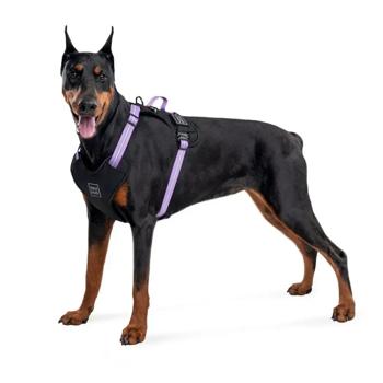 Leash "collar company" llc Ukraine - buy, prices for MasterZoo - photo 5