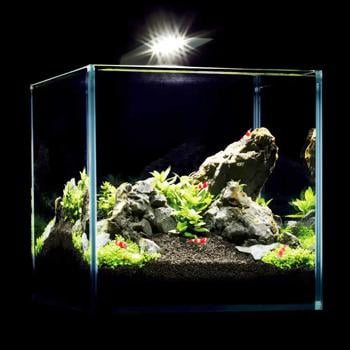 AquaLighter Nano LED Light for Aquarium up to 25l 400lm 4.5W Black - buy, prices for MasterZoo - photo 8