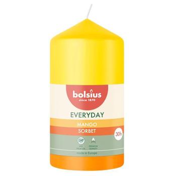 Bolsius Mango Scented Candle 110/58