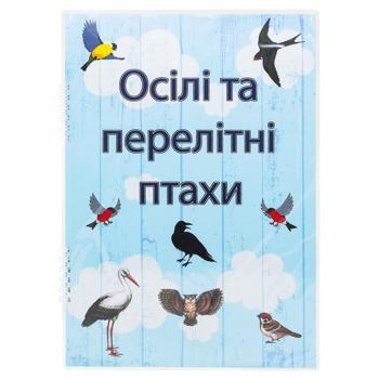 Книга Зимуючі та перелітні птахи - купити, ціни на NOVUS - фото 1