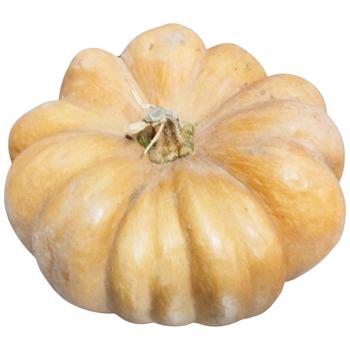 Гарбуз - купити, ціни на КОСМОС - фото 1