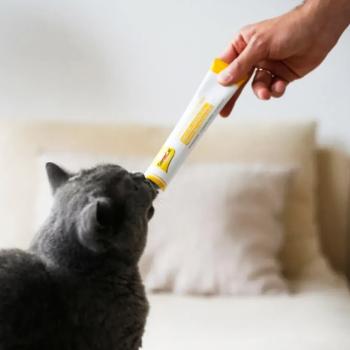 Ласощі для котів GimCat Cheese Biotin Paste Паста з сиром та біотином 100г - купити, ціни на MasterZoo - фото 3