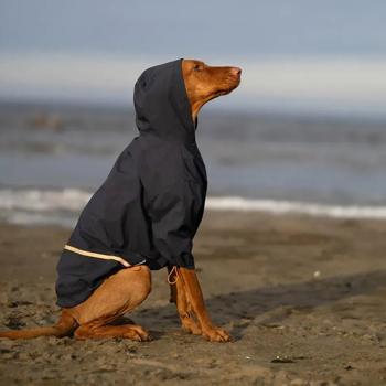 Noble Pet Moss Raincoat for Dogs s.4XL Blue - buy, prices for MasterZoo - photo 2