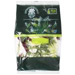 Greens lollo frisee Puchok-svizhachok fresh 90g Ukraine