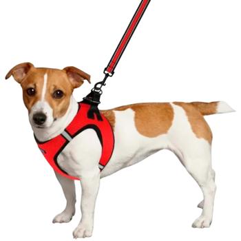 Шлея для собак Barksi Mesh Vest нейлонова XS 34см червоний - купити, ціни на MasterZoo - фото 7