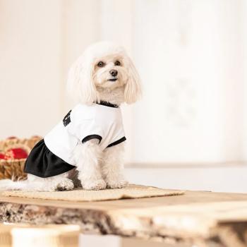 Pet Fashion Chanti сукня для собак S - купити, ціни на MasterZoo - фото 2