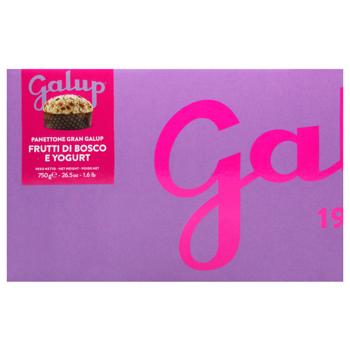 Панеттоне Galup з ягодами та йогуртом 750г - купити, ціни на WINETIME - фото 3