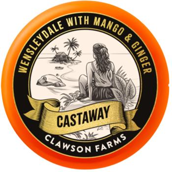 Clawson Castaway Wensleydale with Mango & Ginger English Cheese 40% 200g - buy, prices for Auchan - photo 1