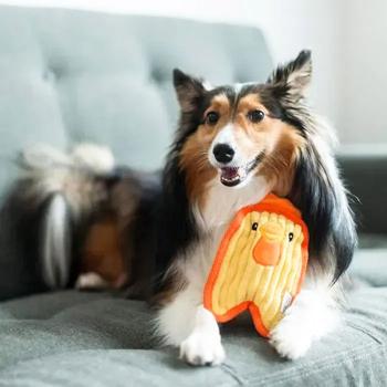 Outward Hound Invincibles Minis Chicky Dog Toy with Squeaker 20cm - buy, prices for MasterZoo - photo 4