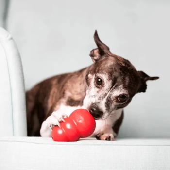 Kong Classic Pear-Feeder Toy for Dogs of Miniature Breeds XS 6.4cm - buy, prices for MasterZoo - photo 3
