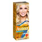 Avena Blond Pearl Silver Blonde Hair Dye 120