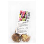 Triumph Slava Tulip Bulb 3pcs