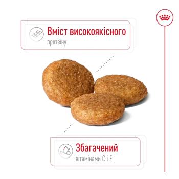 Royal Canin Medium Adult сухий корм для собак 12 кг - домашня птиця - купити, ціни на MasterZoo - фото 4