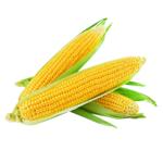 Vegetables corn fresh