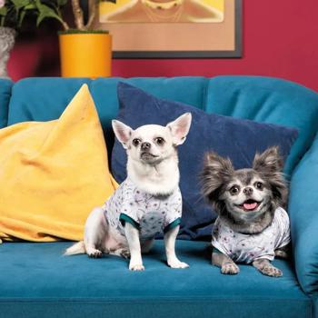 Pet Fashion Flora T-shirt for Dogs s.L - buy, prices for MasterZoo - photo 4