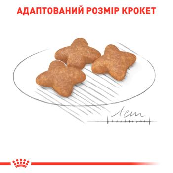 Royal Canin Dry Food with Poultry for Adult Dogs of Small Breeds 2kg Royal Canin Dry Food with Poultry for Adult Dogs of Small Breeds 2kg - buy, prices for - photo 4