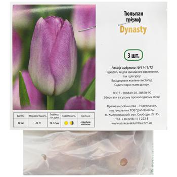 Тюльпан Dynasty (цибулини) 3шт - купити, ціни на Auchan - фото 1