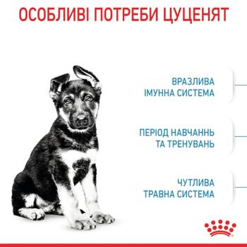 Корм сухий Royal Canin Maxi Puppy з домашньою птицею для цуценят великих порід 3кг - купити, ціни на MasterZoo - фото 2