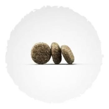 Food Josera salmon 900g Germany - buy, prices for MasterZoo - photo 2