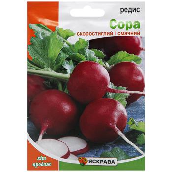 Yaskrava in Giant Sora Radish Seeds 10g