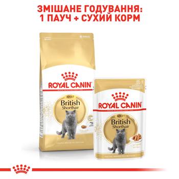 Сухий корм для котів Royal Canin British Shorthair Adult 1,6 кг + 400 г - домашня птиця - купить, цены на MasterZoo - фото 5